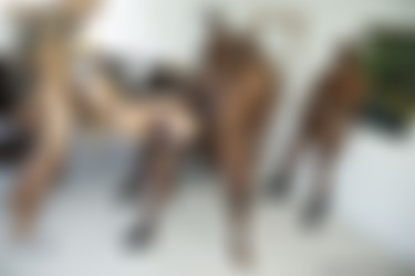 Cherie Deville BlacksOnBlondes Gangbang Photos/127.jpg