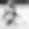 Gina Mond Photo Pack thumbnail