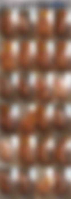 608 x 1080 Pt.1/Scr/BBW BELLA IN THE SHOWER¡¡ SOAPY BOOBIES AND BELLY¡¡ GET CLEAN WITH BELLA¡¡_Bella Belly_1080p.mp4.jpg